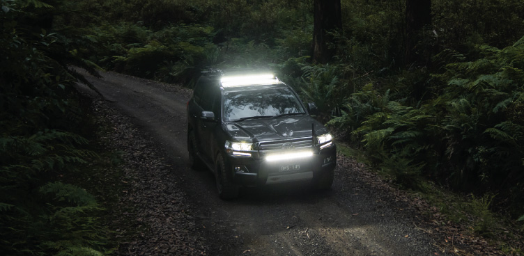 LED Lighting